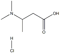 3-(dimethylamino)butanoic acid hydrochloride Struktur