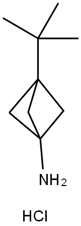 3-tert-butylbicyclo[1.1.1]pentan-1-amine Struktur