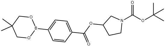 1-Pyrrolidinecarboxylic acid, 3-[[4-(5,5-dimethyl-1,3,2-dioxaborinan-2-yl)benzoyl]oxy]-, 1,1-dimethylethyl ester Struktur