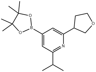 2-isopropyl-6-(tetrahydrofuran-3-yl)-4-(4,4,5,5-tetramethyl-1,3,2-dioxaborolan-2-yl)pyridine Struktur