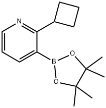 2-(Cyclobutyl)pyridine-3-boronic acid pinacol ester Struktur