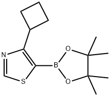 4-(Cyclobutyl)thiazole-5-boronic acid pinacol ester Struktur