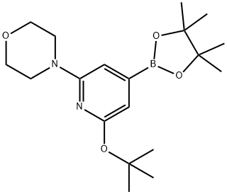 4-(6-(tert-butoxy)-4-(4,4,5,5-tetramethyl-1,3,2-dioxaborolan-2-yl)pyridin-2-yl)morpholine Struktur