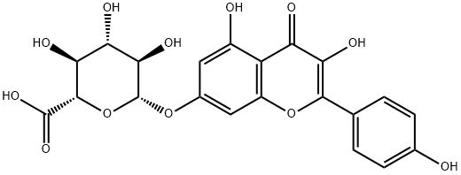 (2S,3S,4S,5R,6S)-6-((3,5-dihydroxy-2-(4-hydroxyphenyl)-4-oxo-4H-chromen-7-yl)oxy)-3,4,5-trihydroxytetrahydro-2H-pyran-2-carboxylic acid