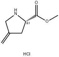 methyl(S)-4-methylenepyrrolidine-2-carboxylatehydrochloride Struktur