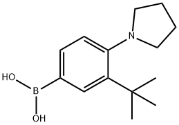 [3-tert-Butyl-4-(pyrrolidino)phenyl]boronic acid Struktur