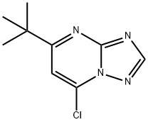 5-tert-butyl-7-chloro[1,2,4]triazolo[1,5-a]pyrimidine Struktur