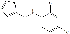 2,4-dichloro-N-(thiophen-2-ylmethyl)aniline Struktur