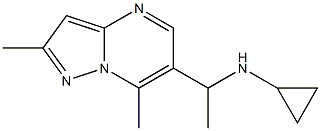 N-(1-{2,7-dimethylpyrazolo[1,5-a]pyrimidin-6-yl}ethyl)cyclopropanamine Struktur