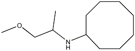 N-(1-methoxypropan-2-yl)cyclooctanamine Struktur