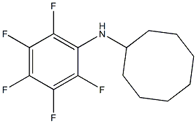 N-(2,3,4,5,6-pentafluorophenyl)cyclooctanamine Struktur