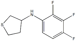 N-(2,3,4-trifluorophenyl)thiolan-3-amine Struktur