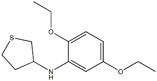 N-(2,5-diethoxyphenyl)thiolan-3-amine Struktur