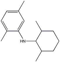 N-(2,6-dimethylcyclohexyl)-2,5-dimethylaniline Struktur