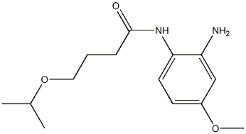 N-(2-amino-4-methoxyphenyl)-4-(propan-2-yloxy)butanamide Struktur