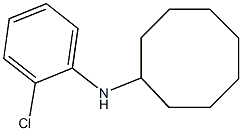 N-(2-chlorophenyl)cyclooctanamine Struktur