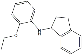 N-(2-ethoxyphenyl)-2,3-dihydro-1H-inden-1-amine Struktur