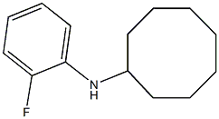 N-(2-fluorophenyl)cyclooctanamine Struktur