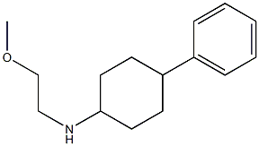 N-(2-methoxyethyl)-4-phenylcyclohexan-1-amine Struktur