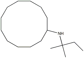 N-(2-methylbutan-2-yl)cyclododecanamine Struktur