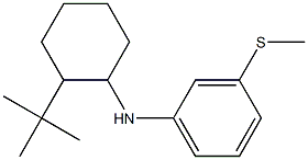 N-(2-tert-butylcyclohexyl)-3-(methylsulfanyl)aniline Struktur