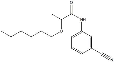 N-(3-cyanophenyl)-2-(hexyloxy)propanamide Struktur