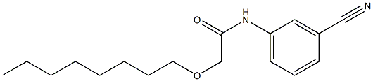 N-(3-cyanophenyl)-2-(octyloxy)acetamide Struktur