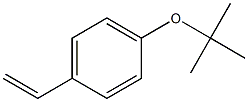 1-tert-butoxy-4-vinylbenzene Struktur