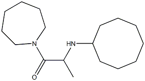 1-(azepan-1-yl)-2-(cyclooctylamino)propan-1-one Struktur