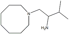 1-(azocan-1-yl)-3-methylbutan-2-amine Struktur