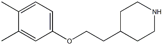 4-[2-(3,4-dimethylphenoxy)ethyl]piperidine Struktur