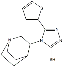 4-{1-azabicyclo[2.2.2]octan-3-yl}-5-(thiophen-2-yl)-4H-1,2,4-triazole-3-thiol Struktur