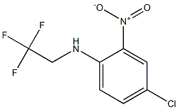 4-chloro-2-nitro-N-(2,2,2-trifluoroethyl)aniline Struktur