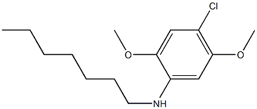 4-chloro-N-heptyl-2,5-dimethoxyaniline Struktur