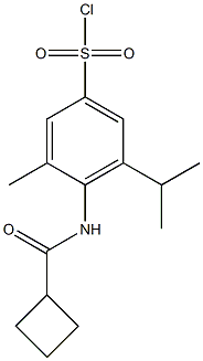 4-cyclobutaneamido-3-methyl-5-(propan-2-yl)benzene-1-sulfonyl chloride Struktur