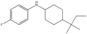 4-fluoro-N-[4-(2-methylbutan-2-yl)cyclohexyl]aniline Struktur