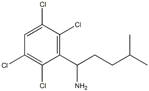 4-methyl-1-(2,3,5,6-tetrachlorophenyl)pentan-1-amine Struktur