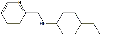 4-propyl-N-(pyridin-2-ylmethyl)cyclohexan-1-amine Struktur