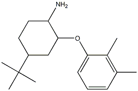 4-tert-butyl-2-(2,3-dimethylphenoxy)cyclohexan-1-amine Struktur