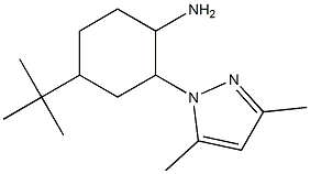 4-tert-butyl-2-(3,5-dimethyl-1H-pyrazol-1-yl)cyclohexanamine Struktur