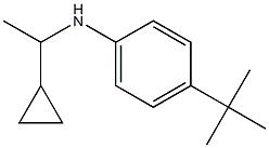 4-tert-butyl-N-(1-cyclopropylethyl)aniline Struktur