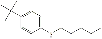 4-tert-butyl-N-pentylaniline Struktur