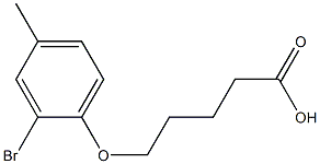 5-(2-bromo-4-methylphenoxy)pentanoic acid Struktur