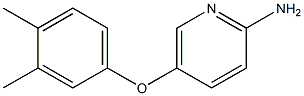 5-(3,4-dimethylphenoxy)pyridin-2-amine Struktur