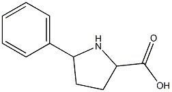 5-phenylpyrrolidine-2-carboxylic acid Struktur