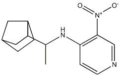 N-(1-{bicyclo[2.2.1]heptan-2-yl}ethyl)-3-nitropyridin-4-amine Struktur