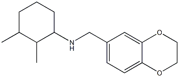 N-(2,3-dihydro-1,4-benzodioxin-6-ylmethyl)-2,3-dimethylcyclohexan-1-amine Struktur