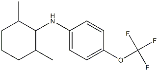 N-(2,6-dimethylcyclohexyl)-4-(trifluoromethoxy)aniline Struktur