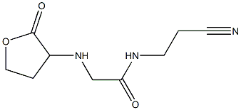 N-(2-cyanoethyl)-2-[(2-oxooxolan-3-yl)amino]acetamide Struktur