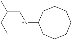 N-(2-methylbutyl)cyclooctanamine Struktur